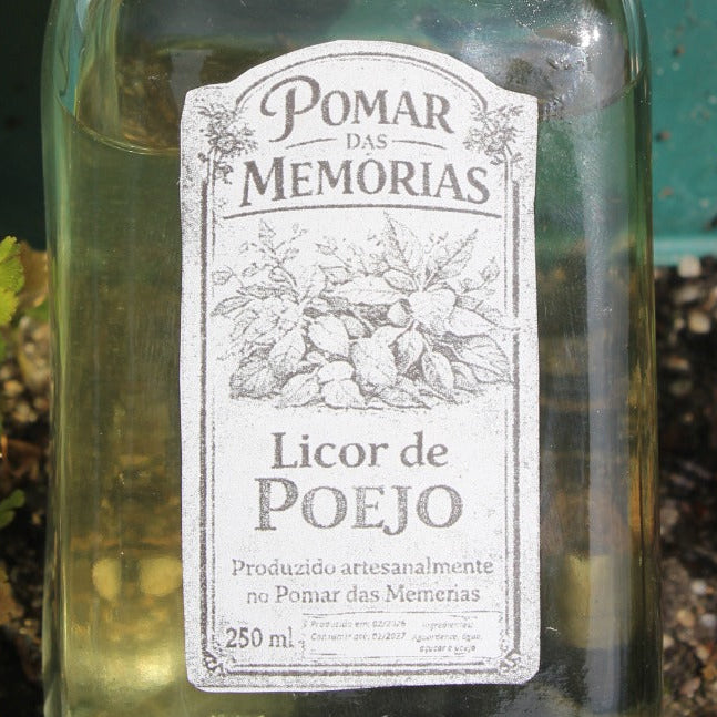Licor de Poejo
