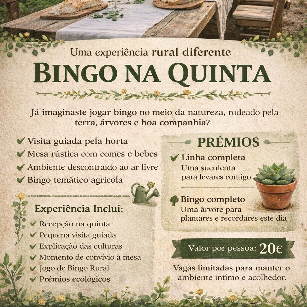 Bingo na Quinta